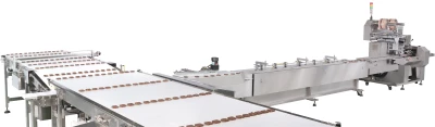 Horizontal Automatic Packaging Machine